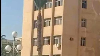 Photo of حقيقة إنتحار طالبة الزقازيق