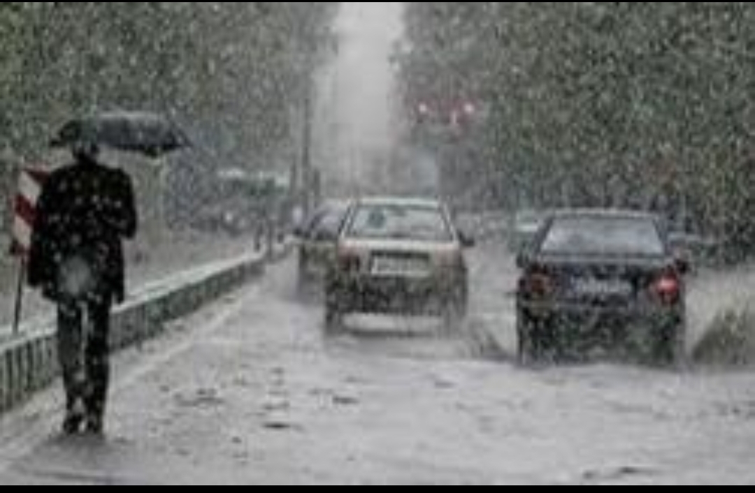 Photo of الأرصاد: غدًا أمطار على السواحل الشمالية.. والصغرى بالقاهرة 11