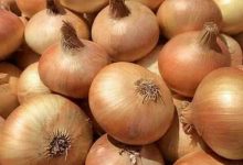 Photo of “الزراعة” ترد على تراجع صادرات البصل: المصري معروف بجودته