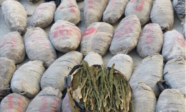 Photo of بـ3 ملايين جنيه.. إحباط تهريب طن بانجو بالسويس