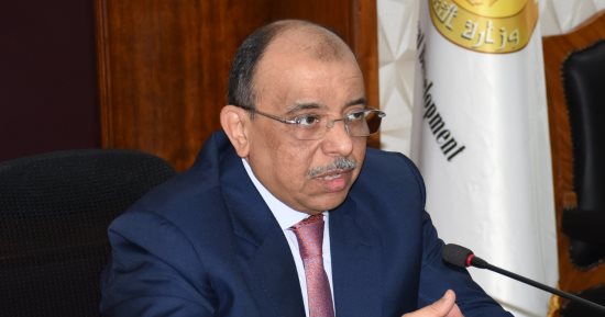 مؤسسة بطرس غالي: مصر خطت خطوات مهمة لتحقيق التنمية المستدامة