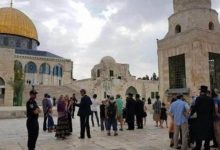 Photo of 102 مستوطن إسرائيلي يقتحمون المسجد الأقصى