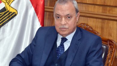 Photo of محافظ القليوبية يجتمع مع ممثلى مشروعى تشغيل الشباب فى مصر بمنظمة العمل الدولية لدعم تشغيل الشباب والمرأة بالمحافظة