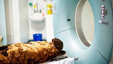 Photo of خبيرة: تجربة إعادة إنتاج الصوت الحقيقي لمومياء محنطة “ضجة إعلامية”