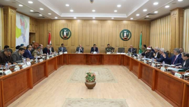 Photo of المنوفية.. الإنتهاء من الحملة القومية ضد مرض إلتهاب الجلد العقدي بنسبة 100,4%