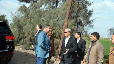 Photo of الهجان..رفع درجات الاستعداد القصوى بالقليوبية تحسبا لهطول أمطار غزيرة غدا الخميس