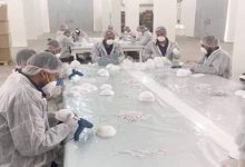 Photo of “الإنتاج الحربي” تطرح منتجات تعقيم بجميع منافذها..وإنتاج 100 ألف كمامة يوميا