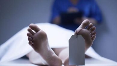 Photo of مقتل سيدة على يد زوجها في بنايوس الزقازيق… الزوج: طلقه طائشه خرجت دون قصد مني
