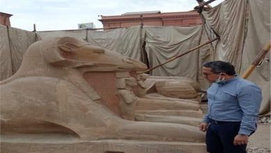 Photo of وزير السياحة والآثار يتفقد أعمال ترميم الكباش الأربعة