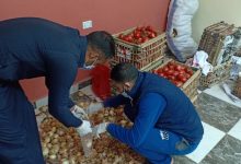 Photo of مركز شباب برشوم الكبرى بطوخ يوفر الخضروات والفاكهة للمواطنين