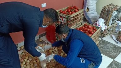 Photo of مركز شباب برشوم الكبرى بطوخ يوفر الخضروات والفاكهة للمواطنين