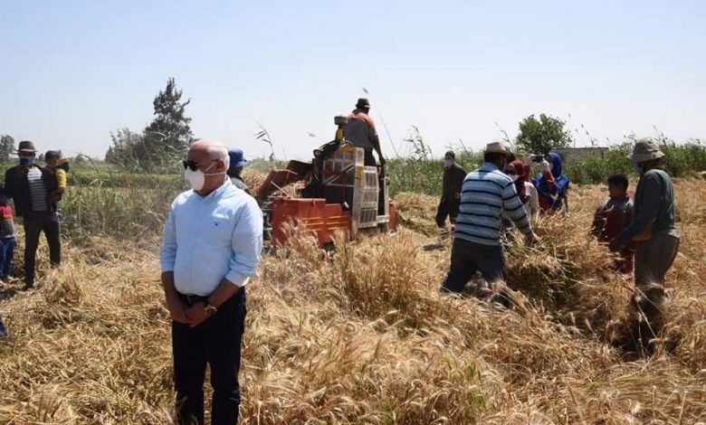 Photo of محافظ بور سعيد: زيادة المساحة المنزرعة بالقمح عن العام الماضي بمقدار  ١٥٠٠ فدان