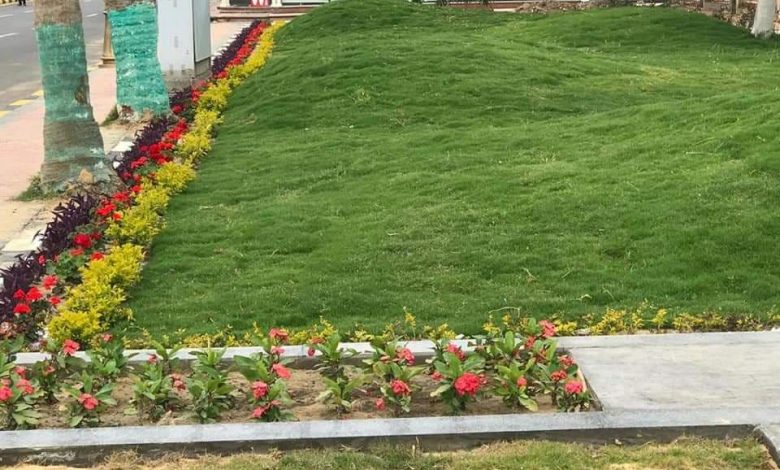 Photo of بالصور.. لمسة جمالية وحضارية لمنظومة الطرق ببورسعيد