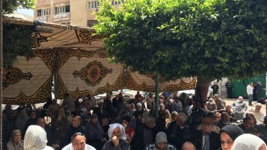 Photo of يتابع شباب القليوبية عملية تنظيم صرف معاش المرحلة الثالثة