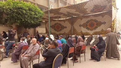 Photo of لليوم التالي علي التوالي ..مبادرة شباب القليوبية لأصحاب المعاشات