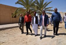 Photo of 700 كرتونة مواد غذائية و3 روؤس ماشية هدية من السيسي لقرية بسيوة