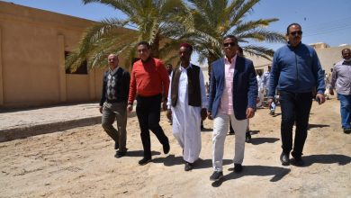 Photo of 700 كرتونة مواد غذائية و3 روؤس ماشية هدية من السيسي لقرية بسيوة