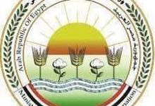 Photo of رسميا.. وزير الزراعة يعلن فتح السوق البرازيلي امام الموالح المصرية