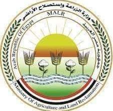 Photo of رسميا.. وزير الزراعة يعلن فتح السوق البرازيلي امام الموالح المصرية
