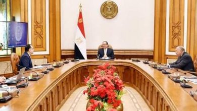 Photo of الرئيس السيسي يوجه بمواصلة جهود إعادة المواطنين العالقين في الخارج