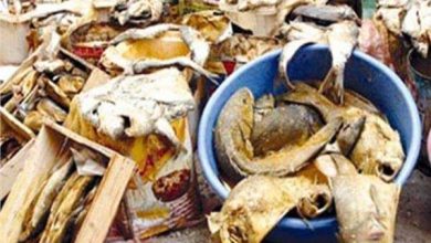 Photo of الصحة: ضبط 53 طن أغذية متنوعة وأسماك مملحة ومدخنة بمحافظات الجمهورية