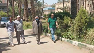 Photo of “الزراعة” تتابع أداء المعاهد والمعامل البحثية ثالث أيام العيد
