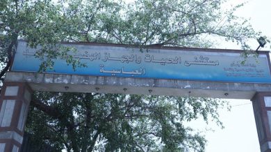 Photo of وزيرة الصحة تتفقد مستشفيي حميات وصدر العباسية وتوجه بتقديم أفضل خدمة طبية للمرضى والحالات المشتبه بها