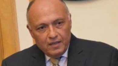 Photo of سامح شكري يتلقى اتصالاً هاتفياً من وزيرة خارجية جنوب أفريقيا
