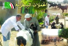 Photo of وزير الزراعة يتلقى تقريراً بإنجازات مشروع الاستثمارات الزراعية المستدامة وسبل المعيشة “سيل”