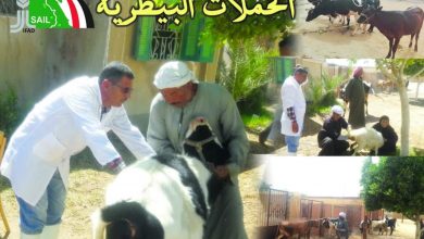 Photo of وزير الزراعة يتلقى تقريراً بإنجازات مشروع الاستثمارات الزراعية المستدامة وسبل المعيشة “سيل”