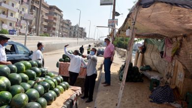 Photo of بالصور… “الهجان” يقود حملة لتطهير كباري الرياح التوفيقي بمدينة بنها