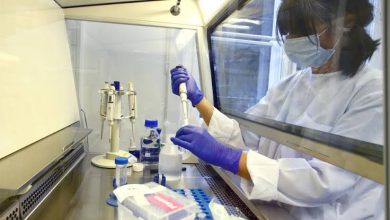 Photo of الصين تبني أكبر مصنع في العالم لإنتاج لقاح مضاد لفيروس كورونا