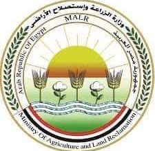Photo of الزراعة : تحصين أكثر من 400 ألف رأس ماشية ضد مرض الحمى القلاعية والوادي المتصدع