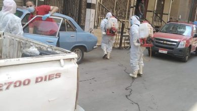 Photo of مكافحة ناقلات الامراض تقوم بحملة تطهير مكثفة بكفر شكر
