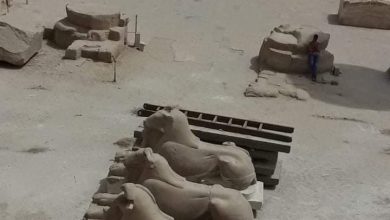 Photo of ترميم تماثيل الكباش الموجودة خلف الصرح الأول بمعبد الكرنك بمدينة الأقصر
