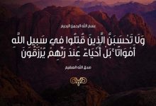 Photo of جامعة بنها تنعى شهداء الوطن في بئر العبد
