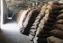 Photo of محافظ الدقهلية: توريد ١٨٧٣٠٠ طن من محصول القمح  للشون والصوامع  بنطاق المحافظة