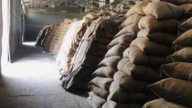 Photo of محافظ الدقهلية: توريد ١٨٧٣٠٠ طن من محصول القمح  للشون والصوامع  بنطاق المحافظة
