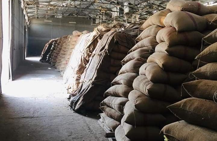 Photo of محافظ الدقهلية: توريد ١٨٧٣٠٠ طن من محصول القمح  للشون والصوامع  بنطاق المحافظة