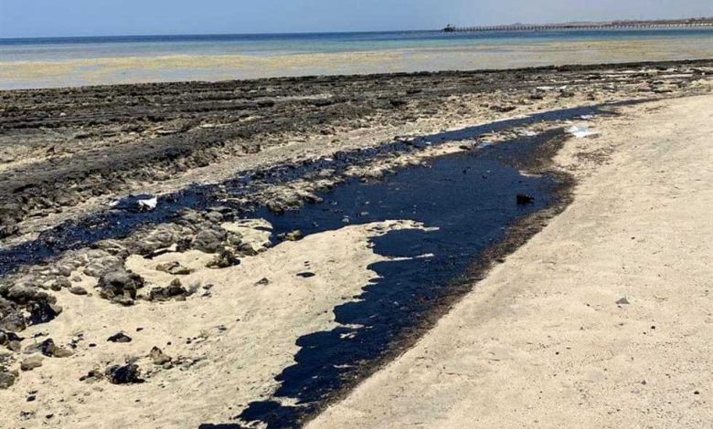 Photo of شواطئ”مرسى علم ” مليئة من البقع الزيتية الهائلة وجهود بيئية مكثفة لتحديد المتسبب