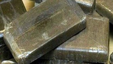 Photo of ضبط عاطل بحوزته 60 طربة من مخدر الحشيش في الإسكندرية