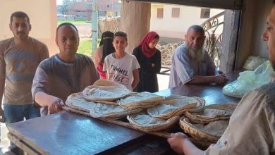 Photo of محافظة الدقهلية :ضبط ٨٦ مخالفه تموينية فى الاسواق والمخابز اليوم   واحالة المخالفات للنيابة العامة