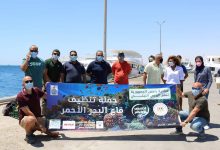 Photo of بالصور… وزارة البيئة تنظم حملة نظافة موسعة تحت الماء بالبحر الأحمر