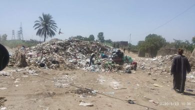 Photo of بلاغ لمحافظ القليوبية: كارثة بيئية جديدة بكفر شكر تهدد المواطنين وتساهم فى تلويث البيئة
