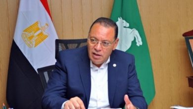 Photo of محافظ الشرقية يأمر بإزالة المحال التجارية المقامة علي شريط السكة الحديد لإستكمال تنفيذ إقامة الكوبري الخرساني المقام بميل (رامب) بمنطقة أبو عميرة  بالزقازيق