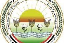 Photo of الزراعة توافق على تمويل جديد لمشروع البتلو بـ 306 مليون جنيه لصغار المربيين والمزارعين