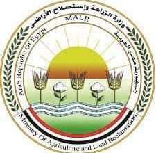 Photo of الزراعة توافق على تمويل جديد لمشروع البتلو بـ 306 مليون جنيه لصغار المربيين والمزارعين