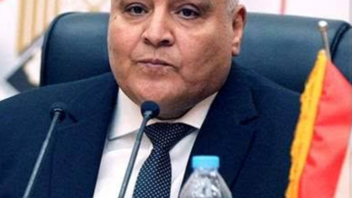 Photo of “الهيئة الوطنية للانتخابات”: بدء الكشف الطبي على راغبي الترشح لمجلس الشيوخ