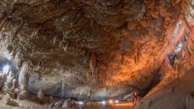 Photo of بالصور…كهف مصرى عمره 60 مليون عاما شاهد سحر أقدم الكهوف في مصر
