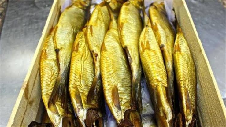 ضبط ٥ أطنان سمك مملح فاسد داخل مصنع بالإسكندرية